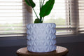 Polygon 3D-Printed Pot